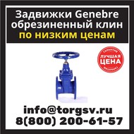     Genebre 2102 Dn 250 Pn 16